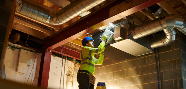 Best Home Air Vent Cleaning  in Candlewick Lake, IL