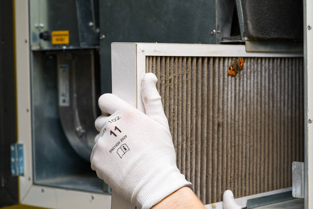 Best Air Duct Cleaning Company Near Me  in Candlewick Lake, IL