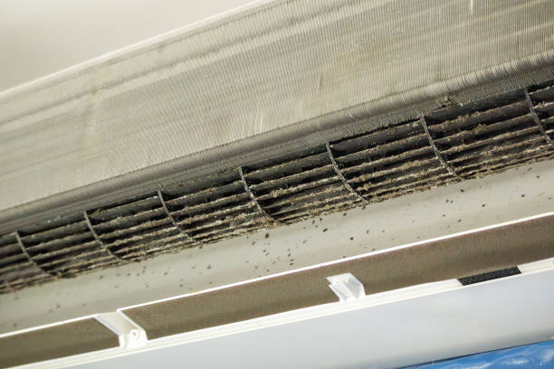 Best Air Vent Cleaning Services  in Candlewick Lake, IL