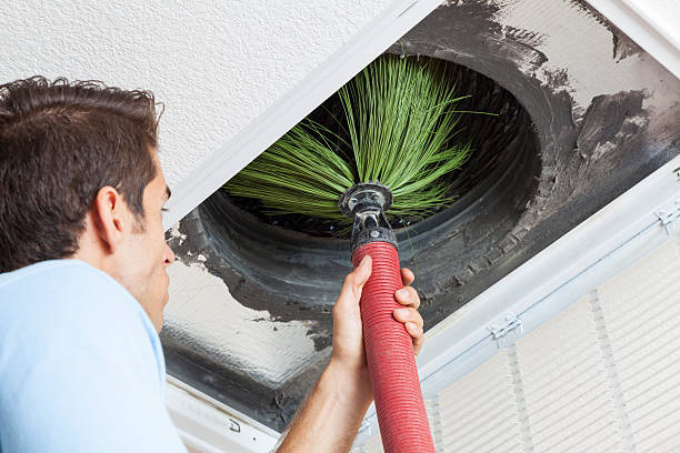 Best Emergency Air Duct Cleaning  in Candlewick Lake, IL